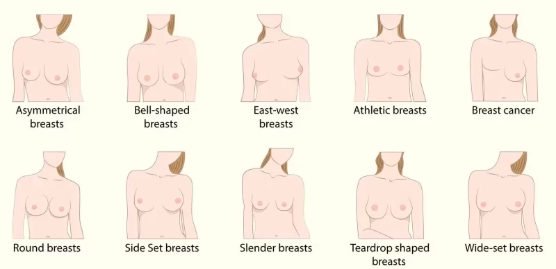 What is the ideal boob size for slim women? - Sexuality