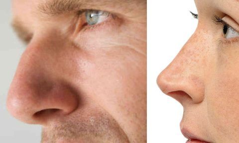 male nose vs female nose