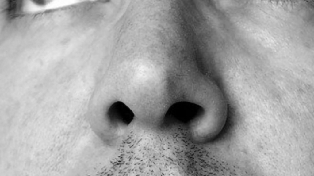 men's nose anatomy