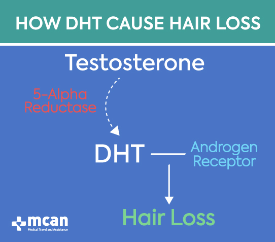 the process of hair loss due to dht